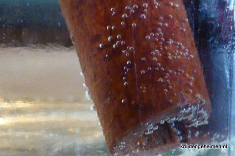 kaneel in water
