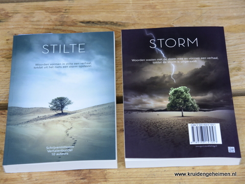 Stilte versus Storm