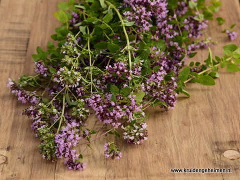 Marjolein - Kruidengeheimen