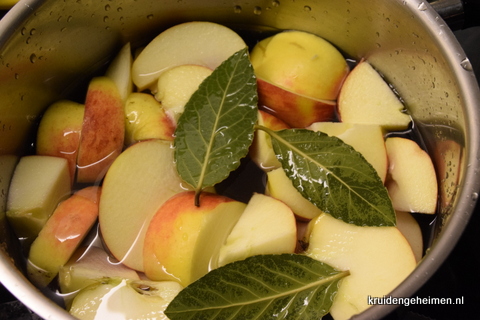 Appel-lauriersap - Kruidengeheimen