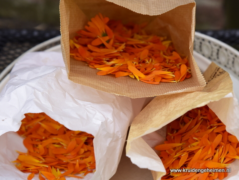 Goudsbloemen drogen - kruidengeheimen