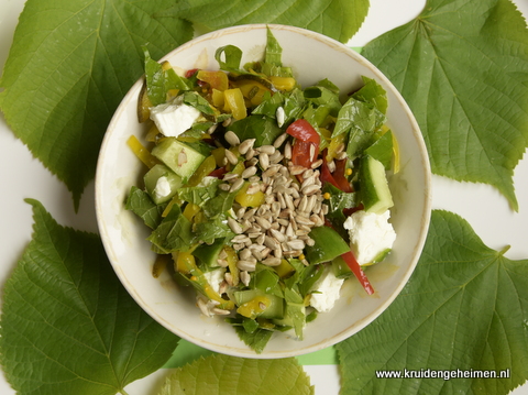 Linde salade - Kruidengeheimen