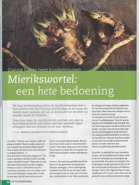Mierikswortel - Kruidengeheimen